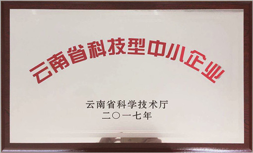 漢工鋼構榮譽-云南省科技型中小企業